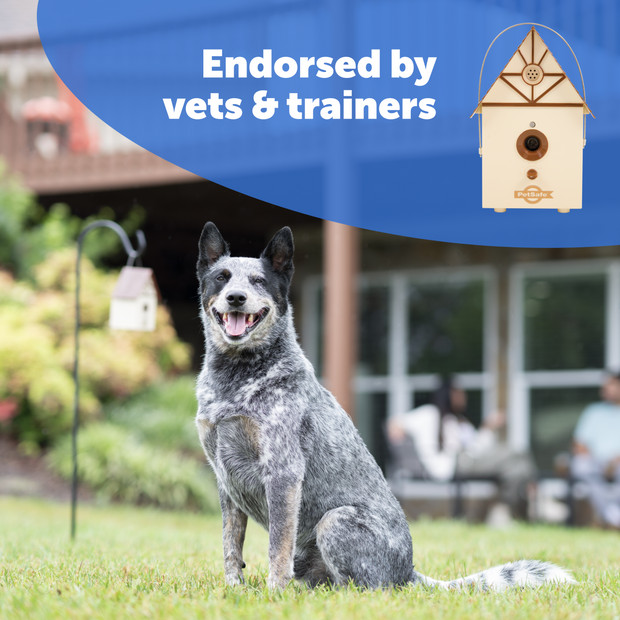 PetSafe - PBC00-11216 - Outdoor Bark Control