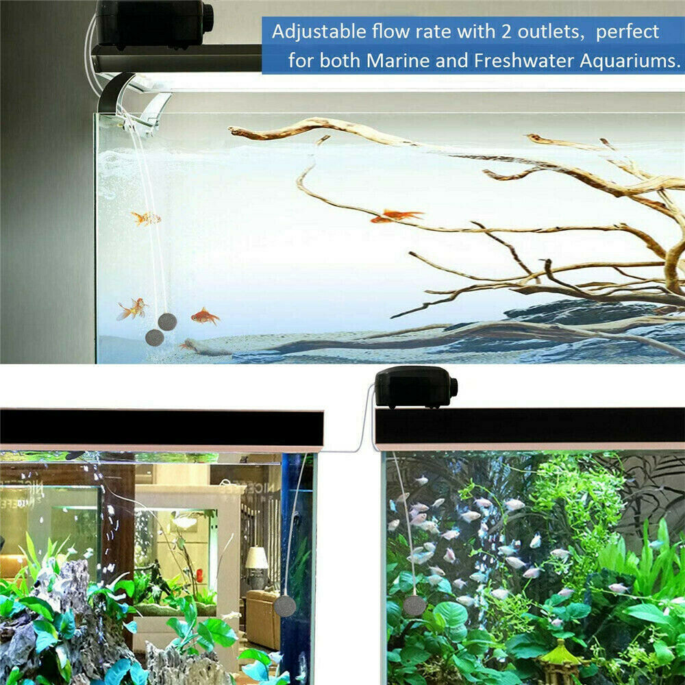 Air Pump Large Aquarium Fish Tank Pump Hydroponic Oxygen 2 Outlet 5W Pump