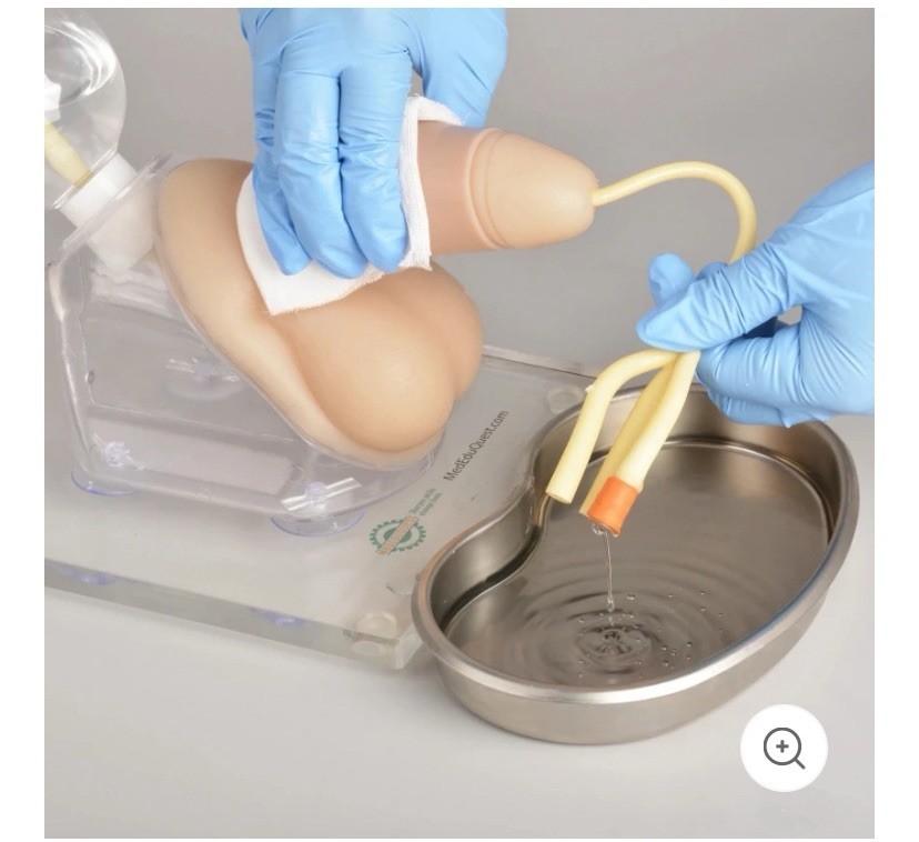 MedEduQuest Male Urethral Catherization Simulator For Students