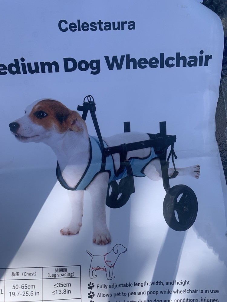 Celestaura Legs walking mobility for animals