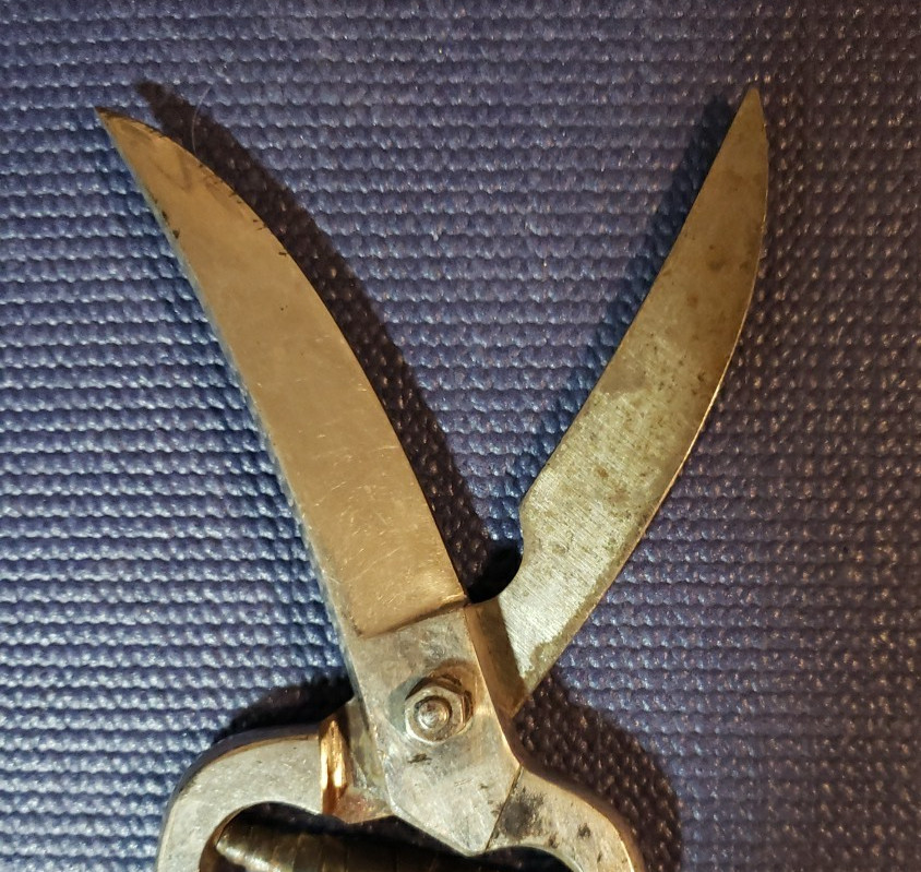 Vintage Solingen Germany Locking Poultry Shears Scissors 10”