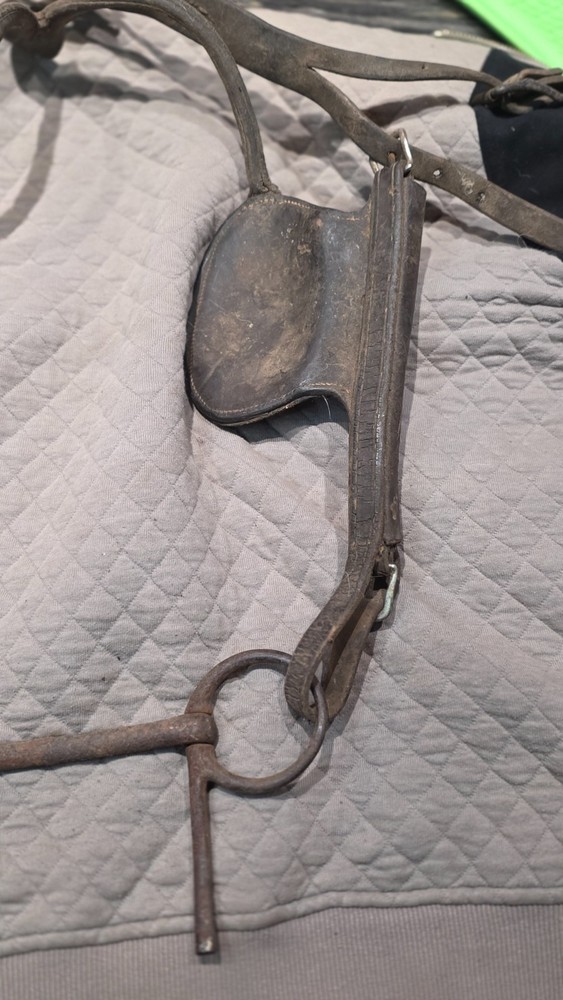 Vintage Draft Bridle with Blinders
