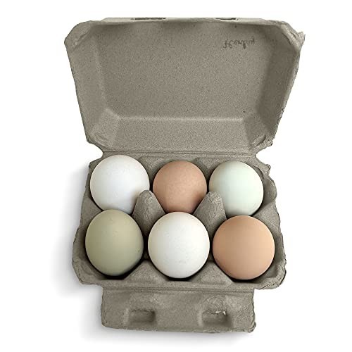 Blank Half-Dozen Egg Cartons Recyclable Pulp 100 Pack