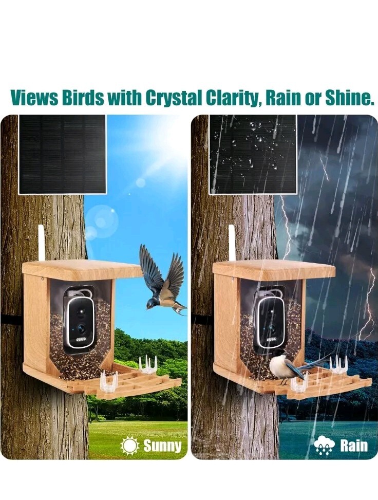 Smart Bird Feeder with Camera AI Identify Bird Species Live View Motion Detect