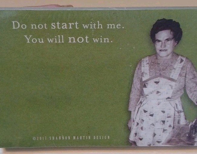 Sassy Sarcastic Funny Classy Notepad Notebook Sticky Notes Gift Set Stationary