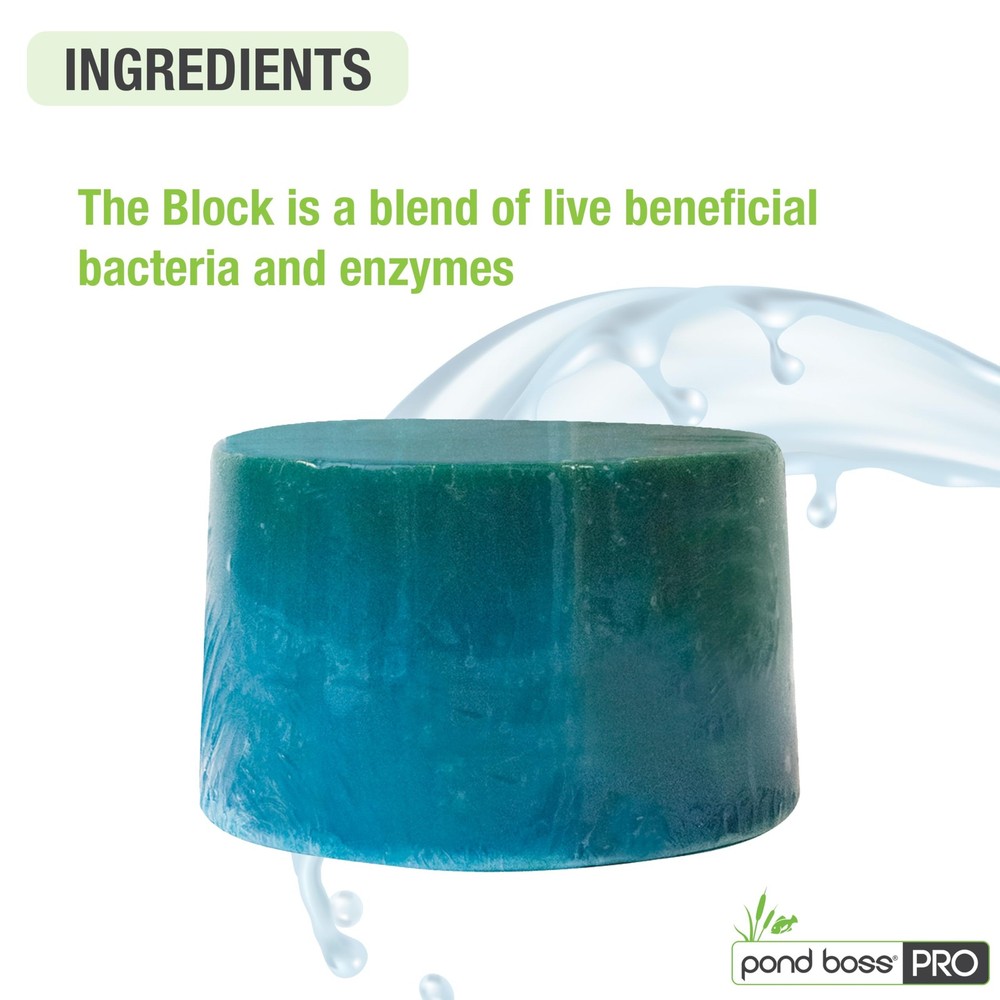 Pond BOSS CBBPR5 Pro Block Bacteria, 5-Pound 5