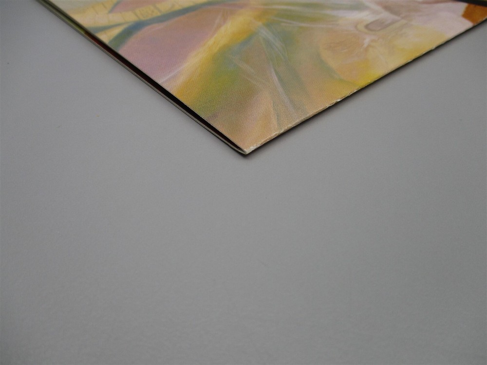 Dungeons & Dragons, D&D: 3rd Edition Dungeon Master Screen