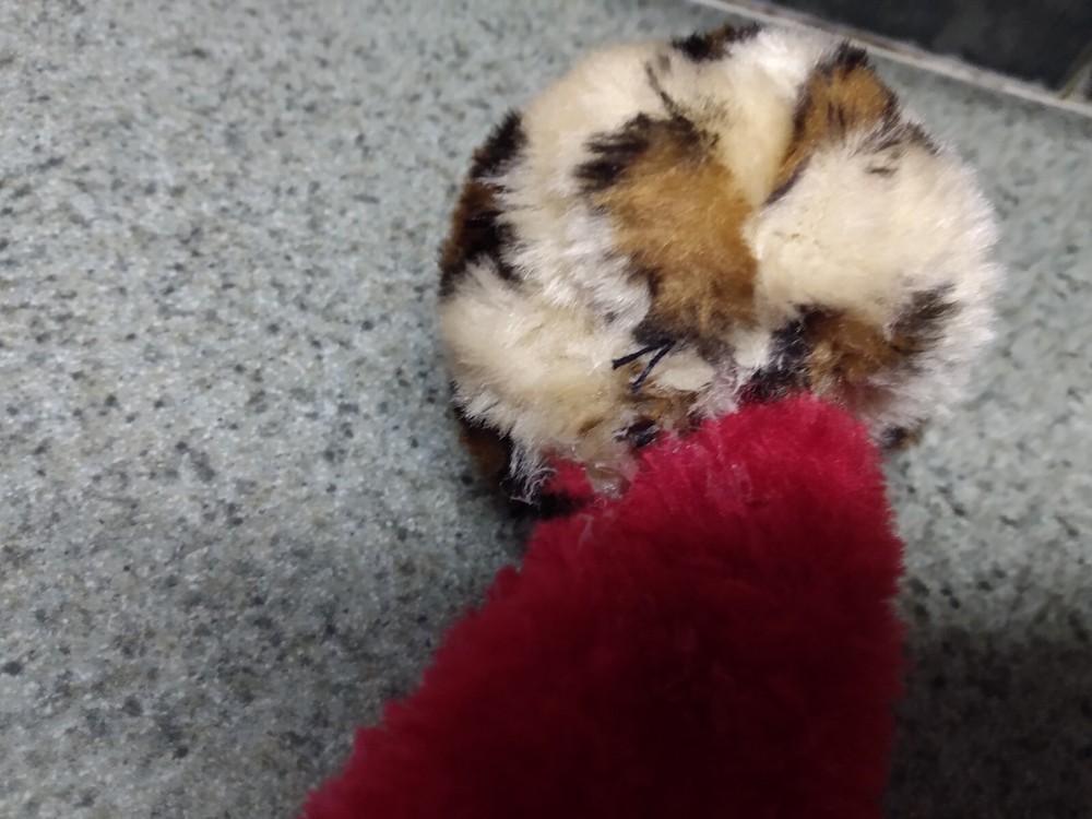 2 Santa Hats Red With Leopard Print