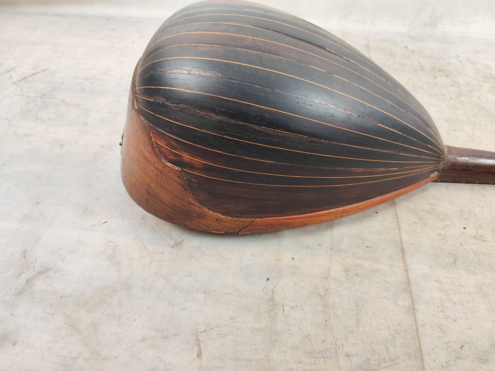 Mandolin 4/4 Strident 1930 Naples 曼陀林 만돌린マンドリン