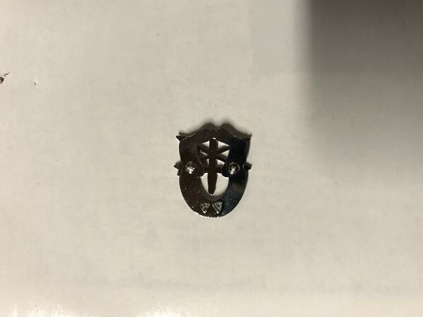 US Army Special Forces Groups Airborne SFGA beret crest DUI 1.1/8" badge c/b