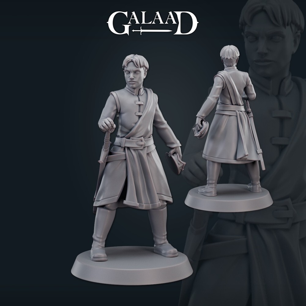 The Prince, Galaad Miniatures, DND Human Noble,