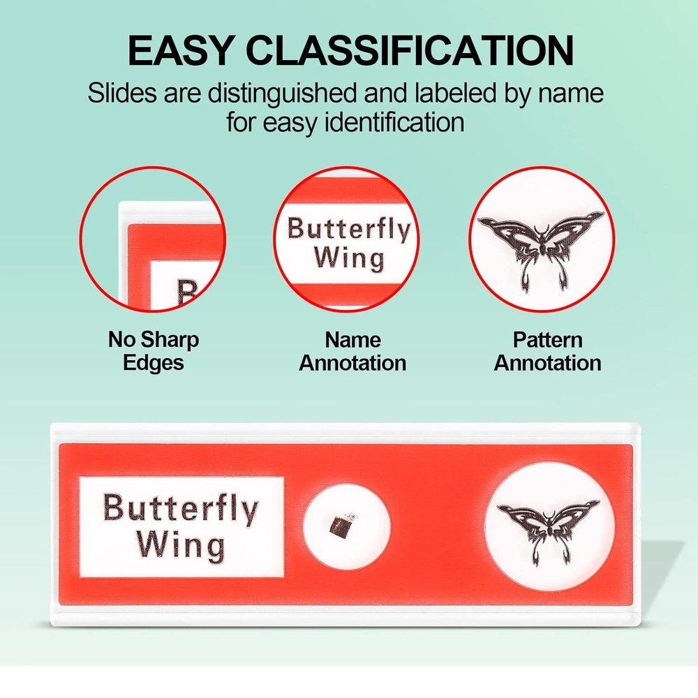 Prepared Plastic Microscope Slides with Specimens for Kids, Microscope Sample Sl