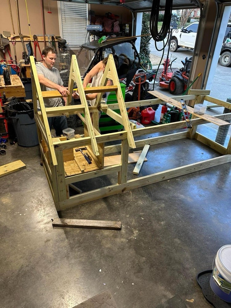 6 Polish Chicken Hatching Eggs (NPIP Certified)