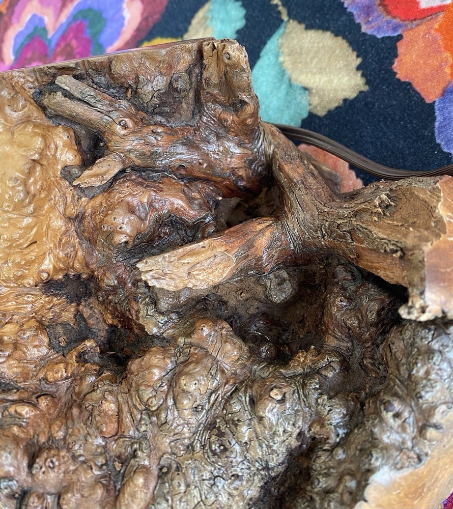Burl Wood Lamp