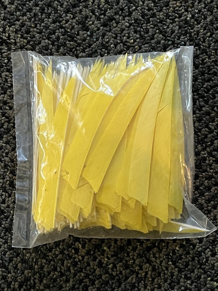 Lot of Archery Feathers – Bulk Bundle
