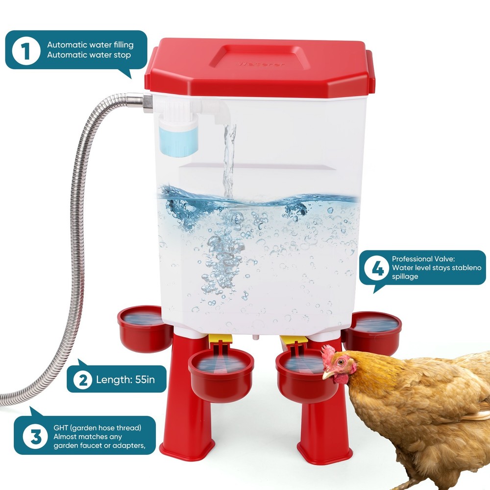Chicken Waterer, Automatic Chicken Waterer, Poultry Waterer