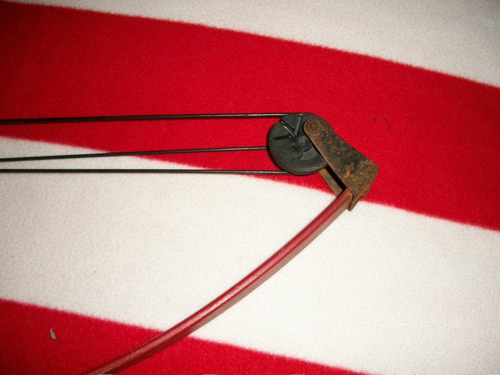 Bear Panda Bear Youth Compound Bow