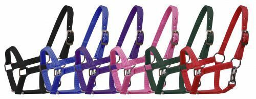 Mini Size Nylon Halter w/ Nickel Plated Hardware
