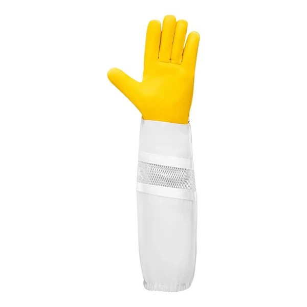 Children Cow Hide Ventilated Gloves