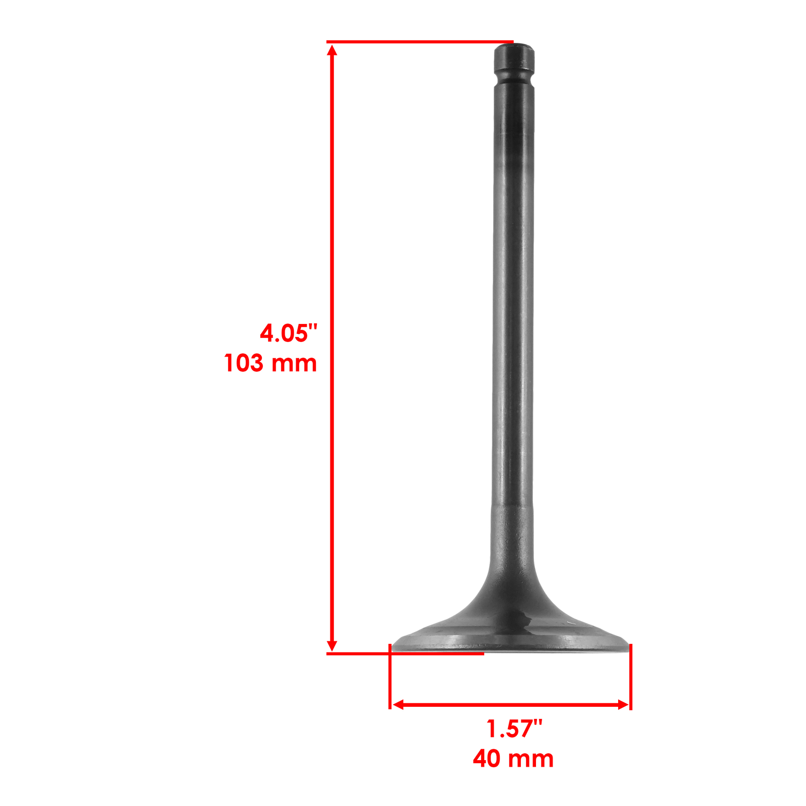 Engine Camshaft & Valve Kit For Yamaha Kodiak 400 YFM400FW 4x4 1993-1999