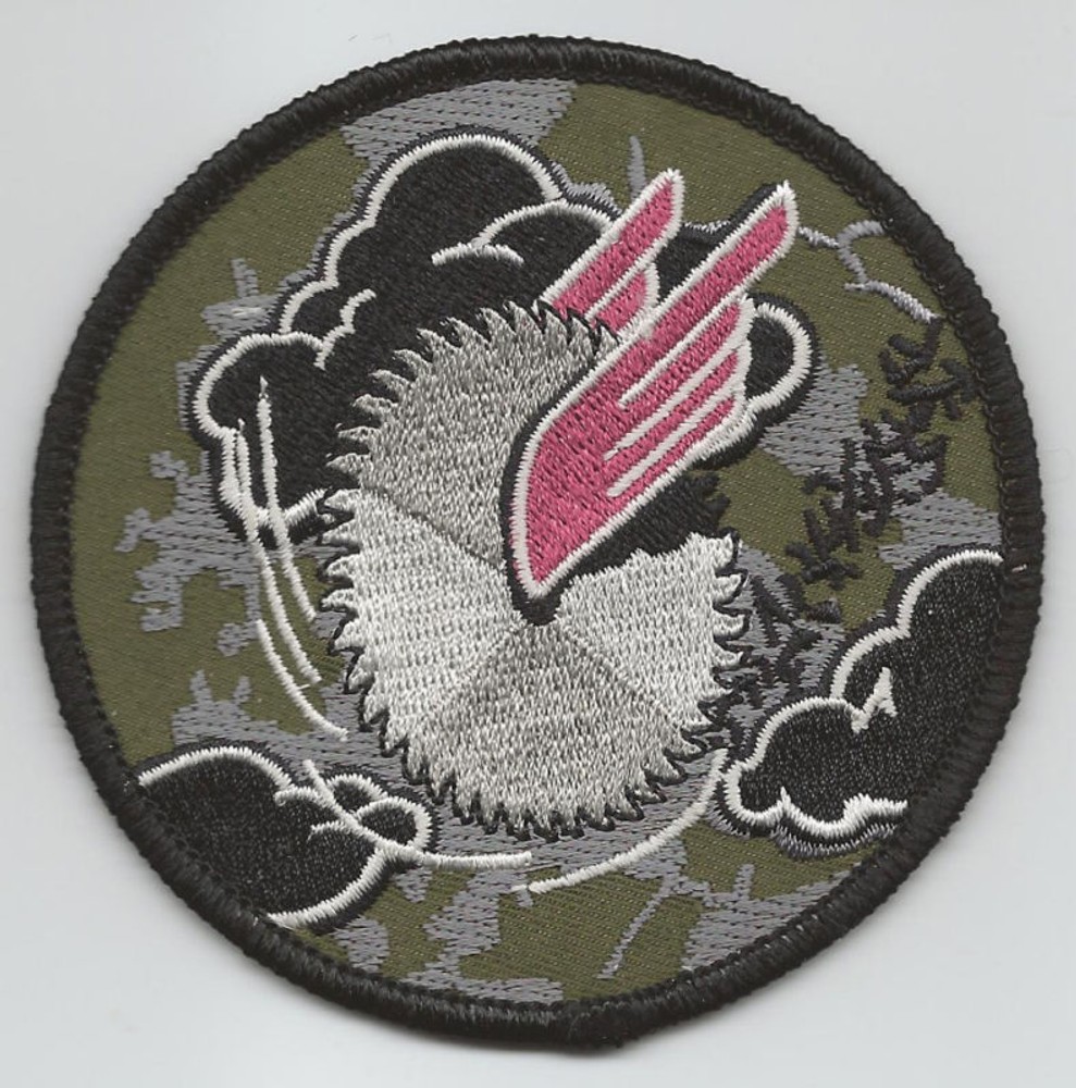 41st FLYING TRAINING SQUADRON patch