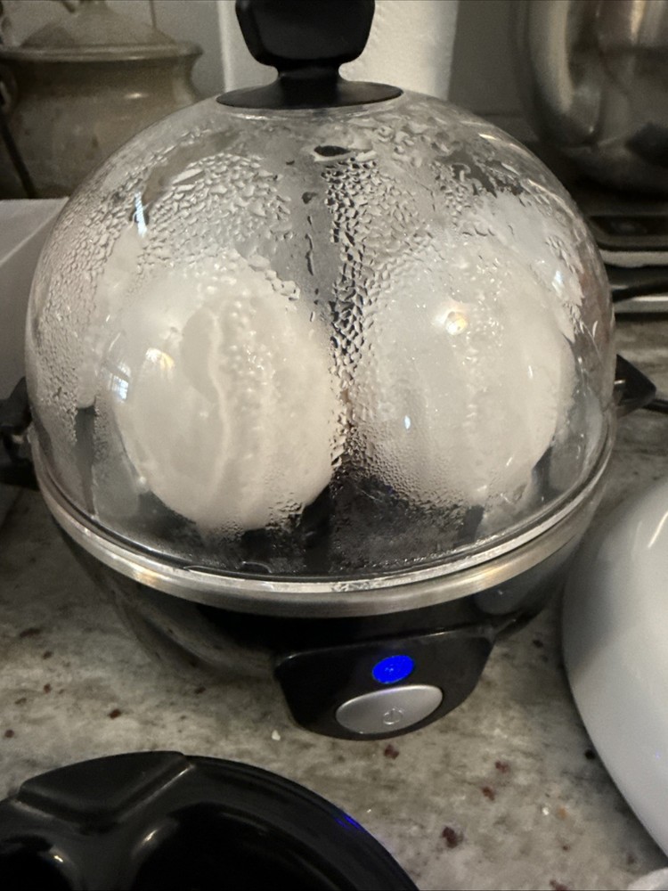 dash rapid 6 egg cooker/all Accessories