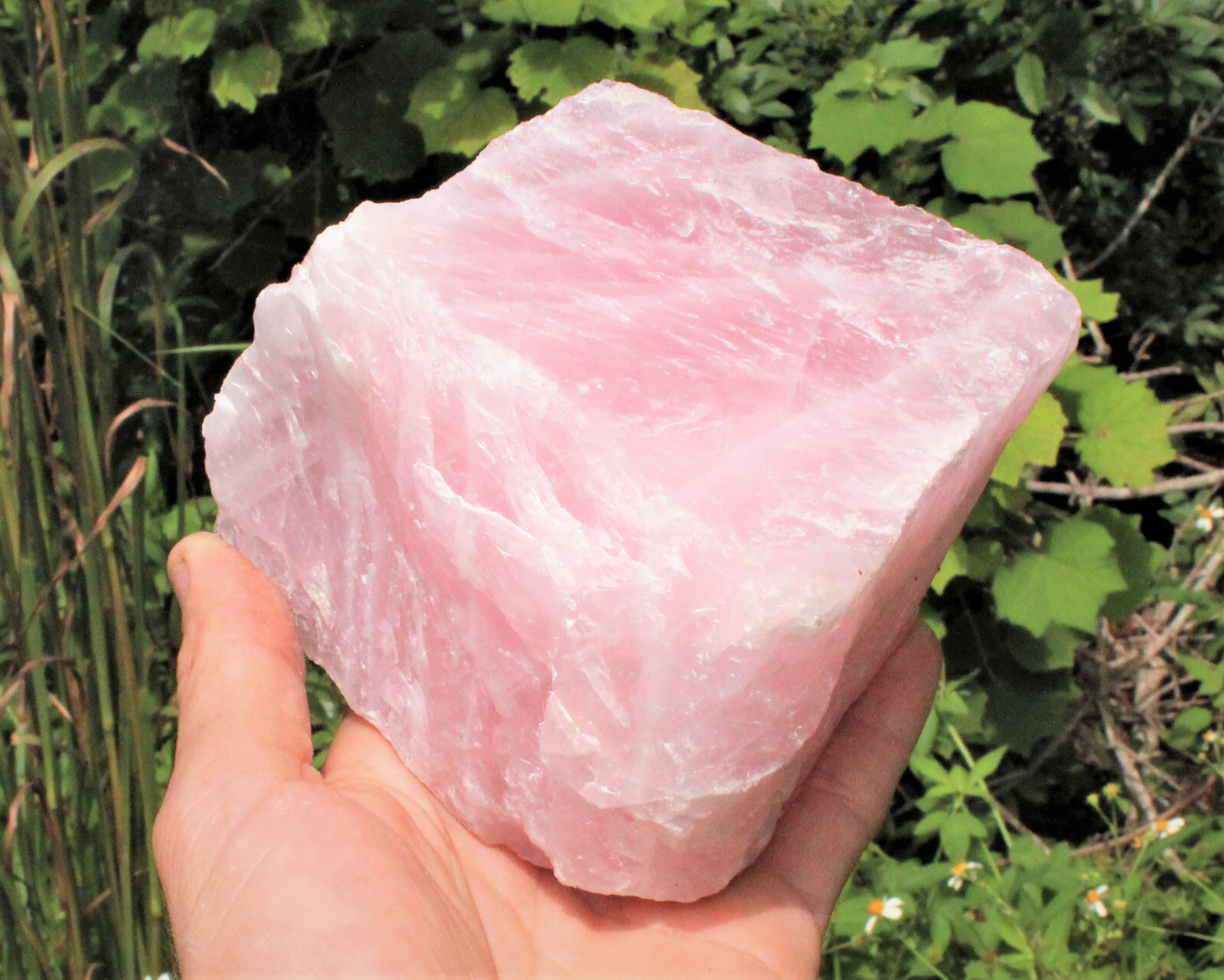 JUMBO Rose Quartz Natural Raw Crystals - Choose Size Huge Chunks (Love Stone)