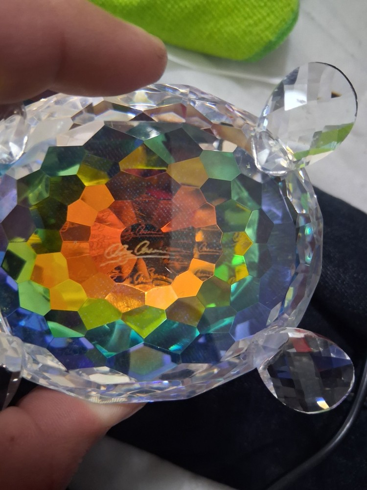 Real Crystal Turtle
