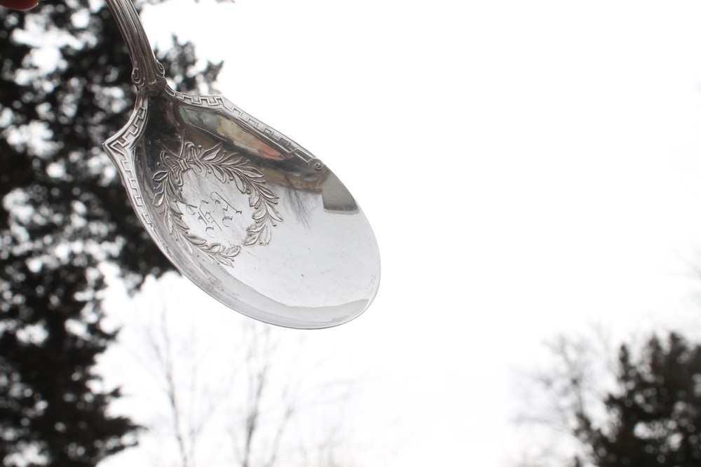 Silverplate Serving Spoon Ornate with Engraving