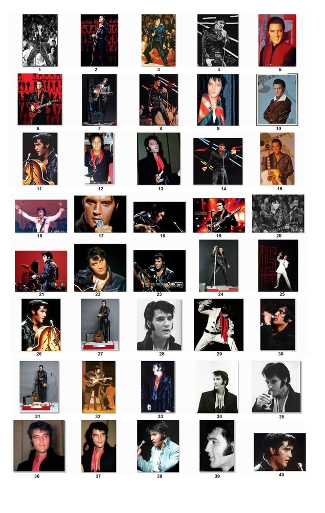 30 Personalized Address Labels Elvis (E5)