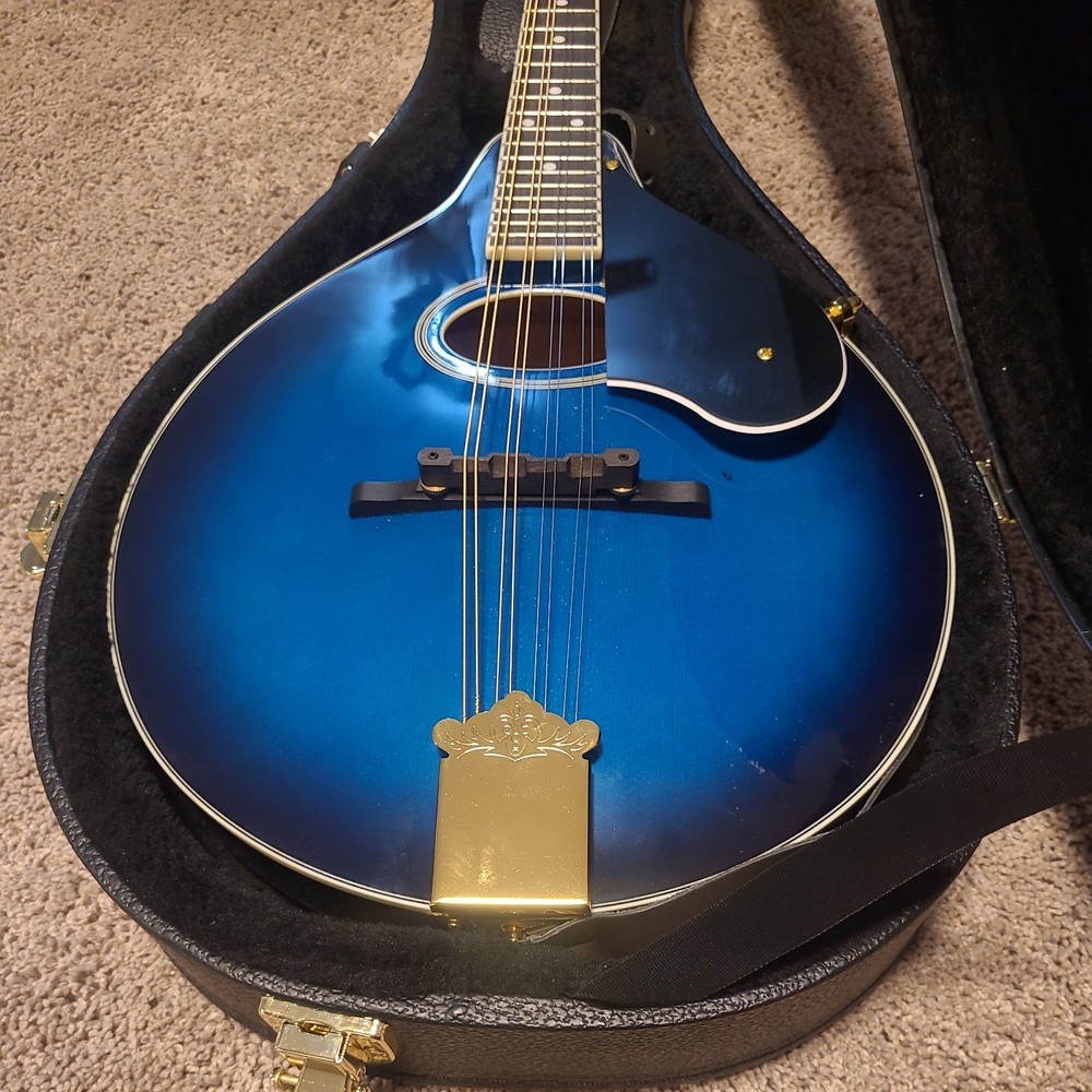 Washburn M1SDLTBL-A Mandolin with Case, 8 string