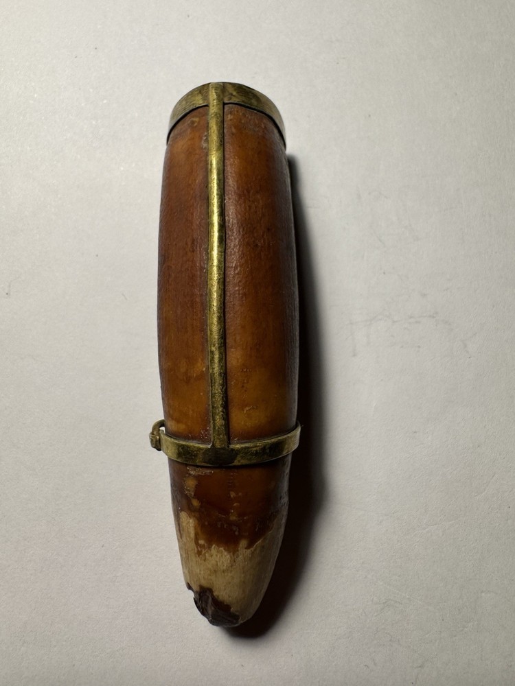 530- Tooth, Teeth, Crocodile’s Tooth