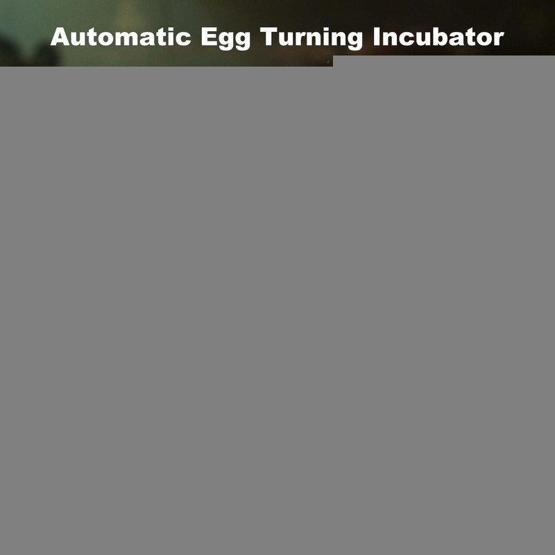 Automatic 120 Eggs Incubator Temperature Control Digital Chicken Egg Hatcher New