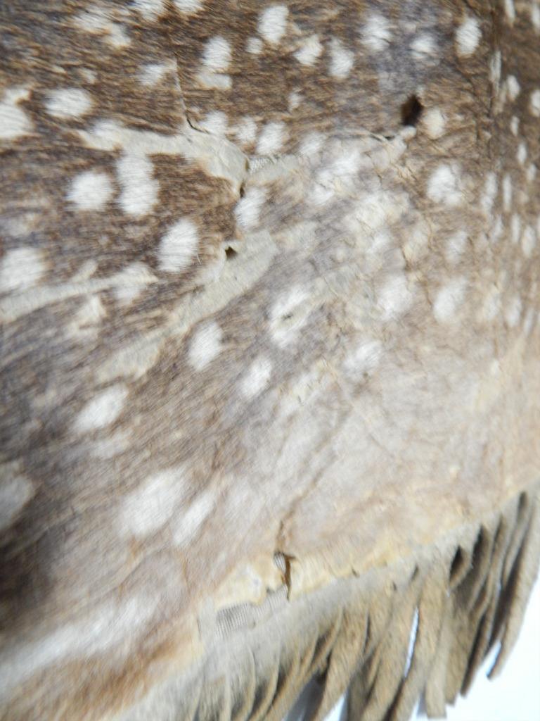 ANTIQUE 1890s BLACKFEET (PIKUNI) PLAINS INDIAN POUCH DOE HIDE POUCH / BAG