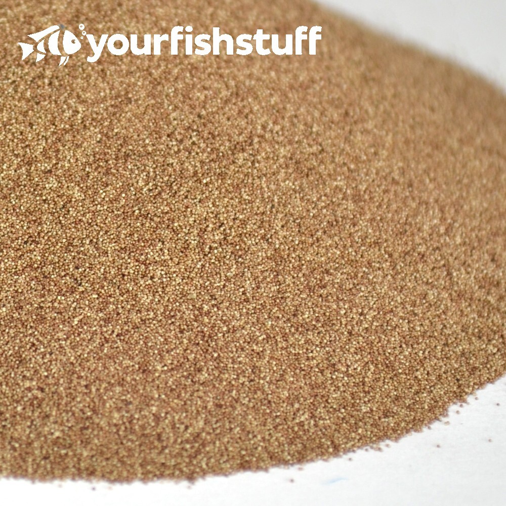 Brine Shrimp Eggs (Artemia Cysts) 50grams of 90% Hatch