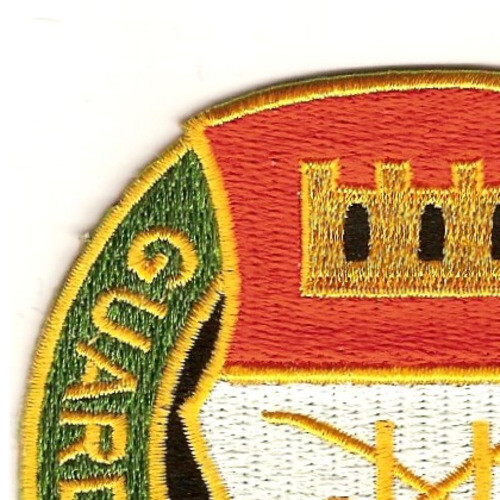 202nd Cavalry Regiment Patch