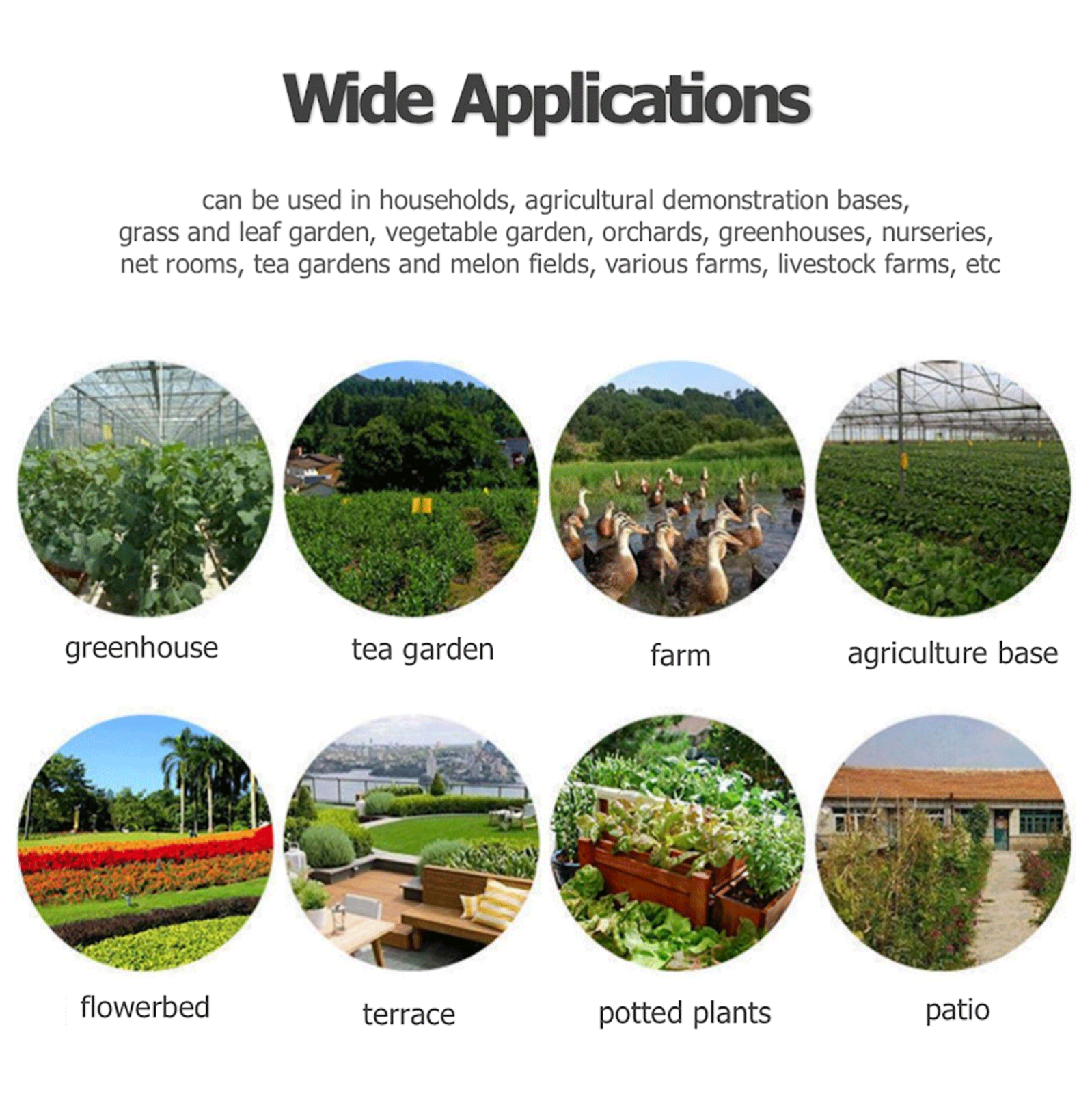 10-100Pcs Sticky Fruit Fly Traps, Fungus Gnat Killer Trap use Indoor Outdoor