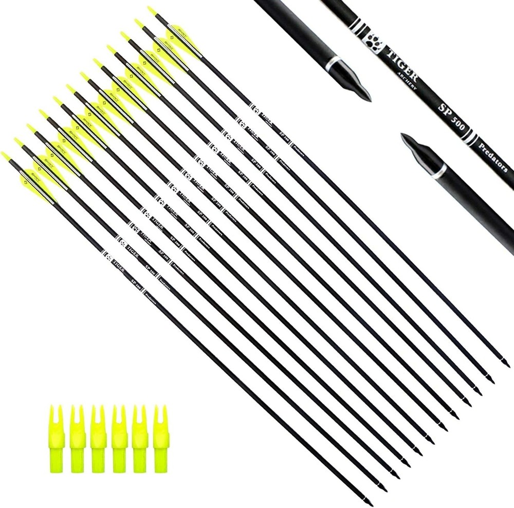 Precision Carbon Arrows 30 Inches - 12 Pack with Removable Tips for Bows