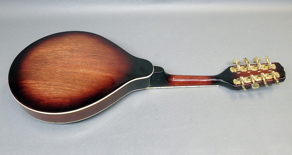 Mandolin Vester