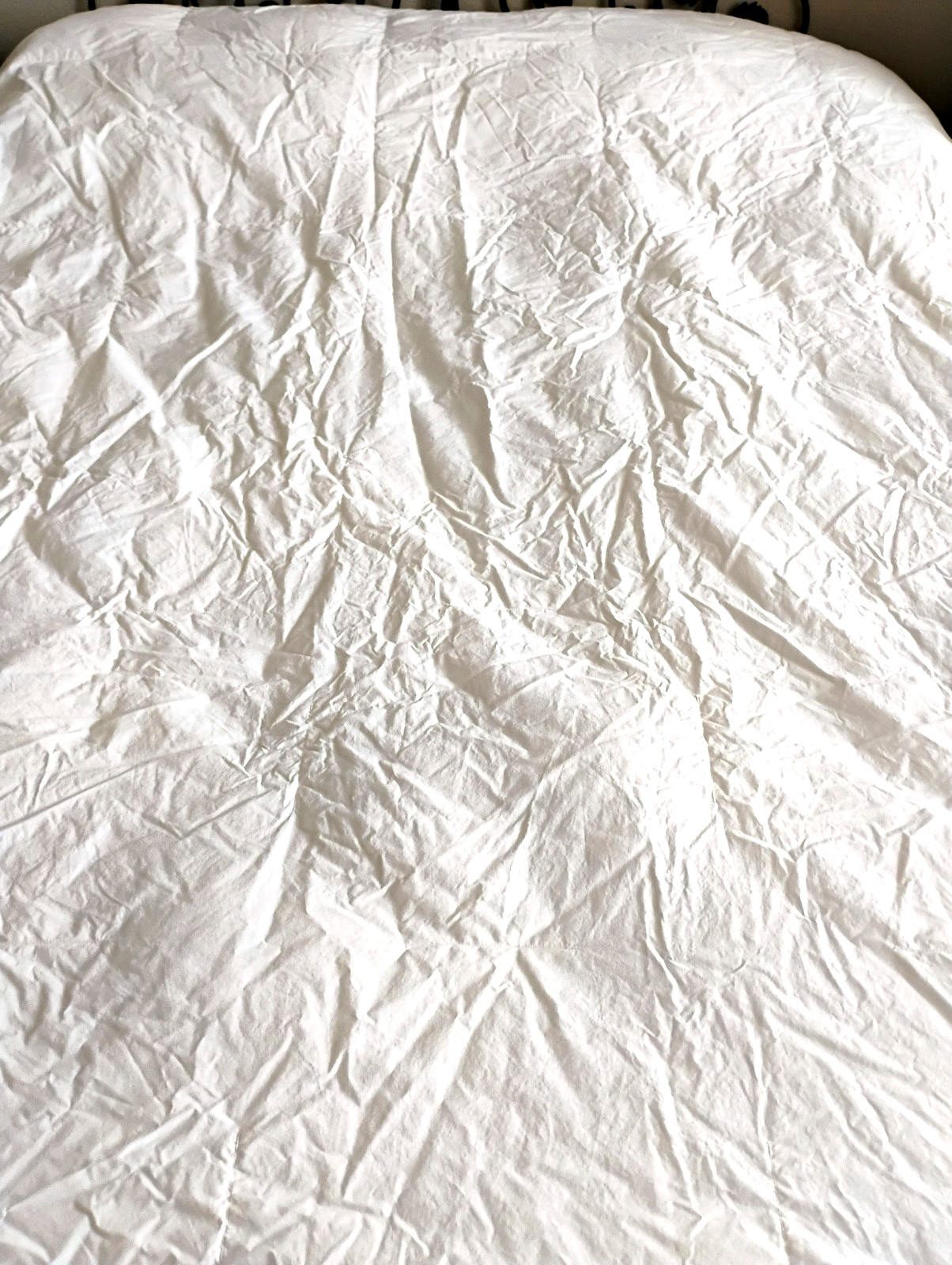 Down Duvet Insert Cotton White King size 108" x 92"