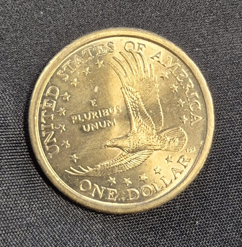 2000P Sacagawea Gold Dollar Coin • Average Circulated • Possible Errors ??