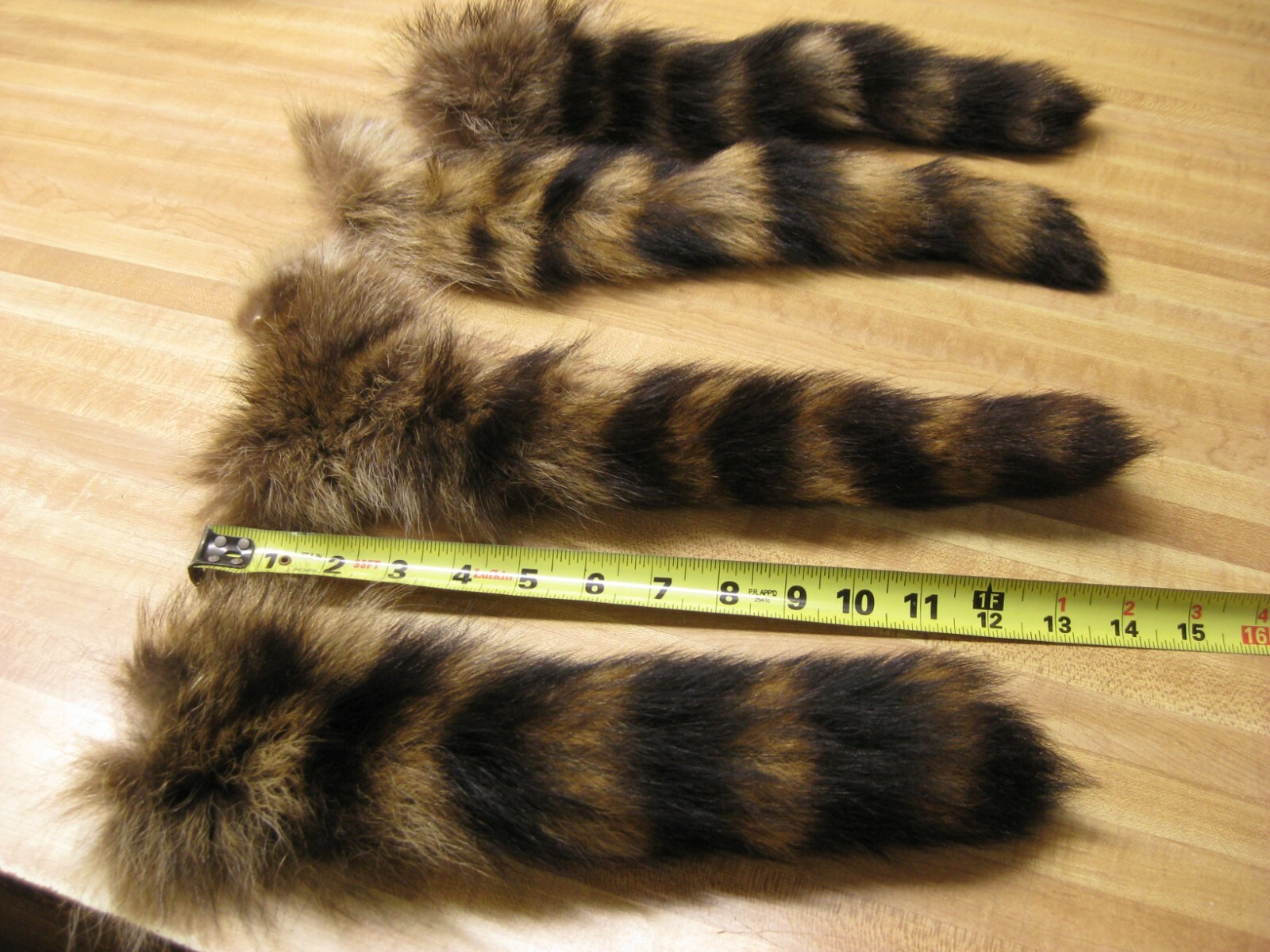 Large Tanned Jumbo Raccoon Tail Coon Fur Crafts 1 Tail Only