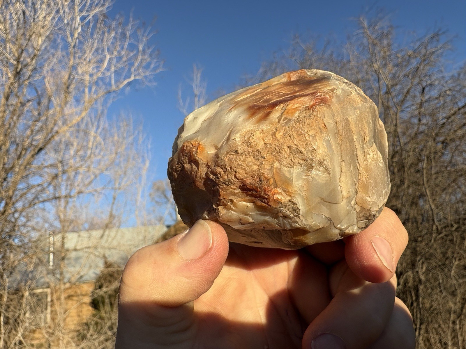 ☘️RR⚒: Anasazi Mano Made From Agate Fossil Wood NE AZ.