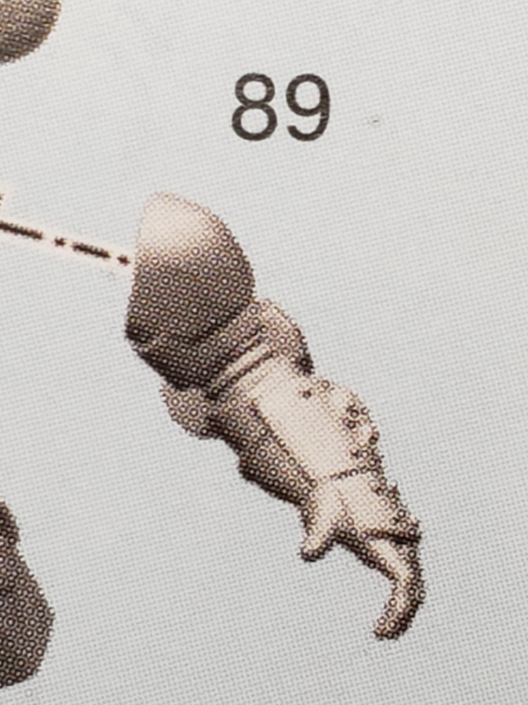 40k Space Wolves Bits Wolf Scout Kill Team Trapmaster Haywire Mine Axe #80