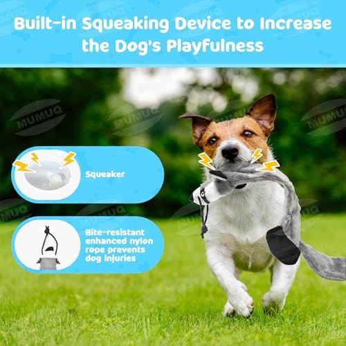 Dog Flirt Pole, Retractable Teasing Stick with Lure, Interactive Dog 40 Inch