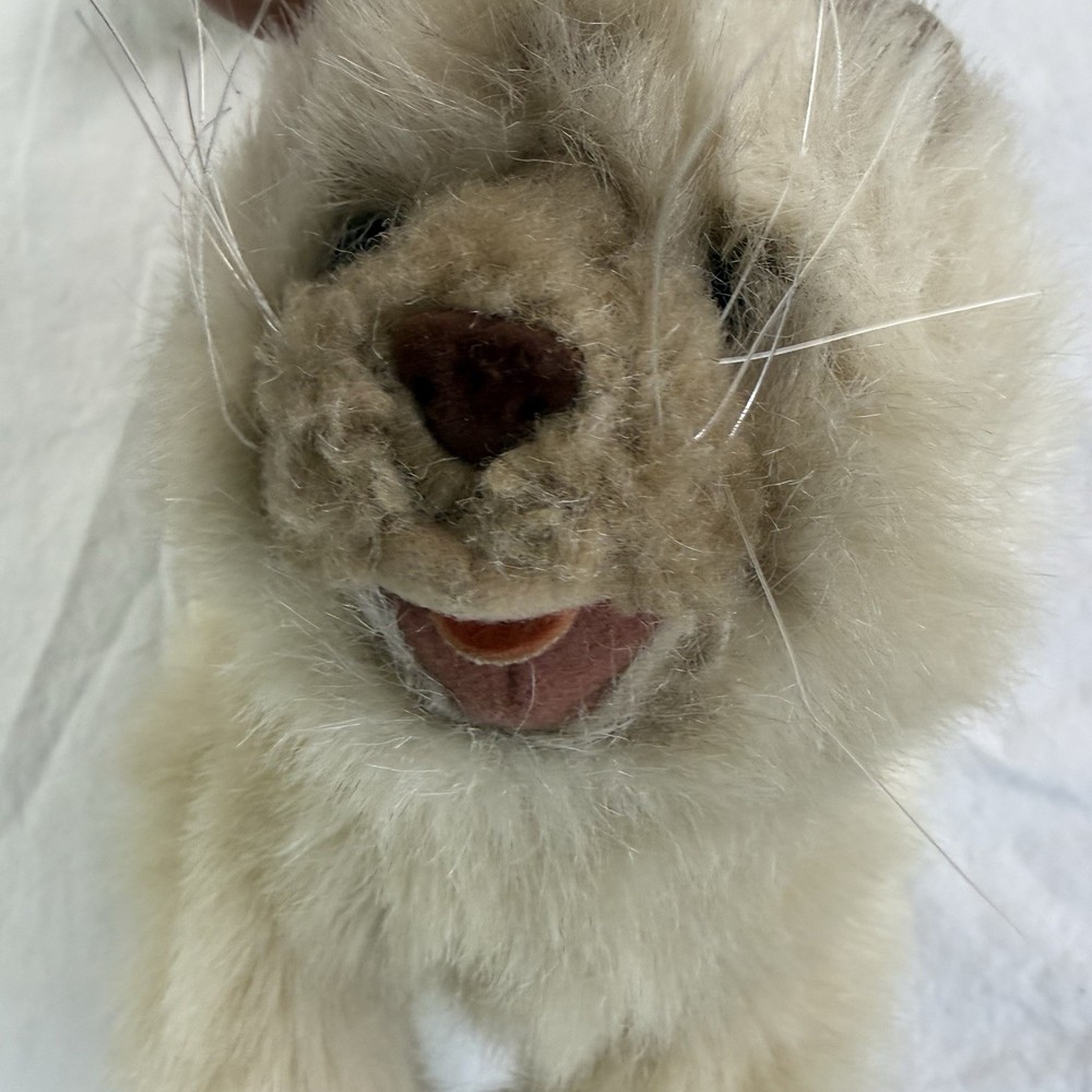 Folkmanis Siamese Cat Hand Puppet
