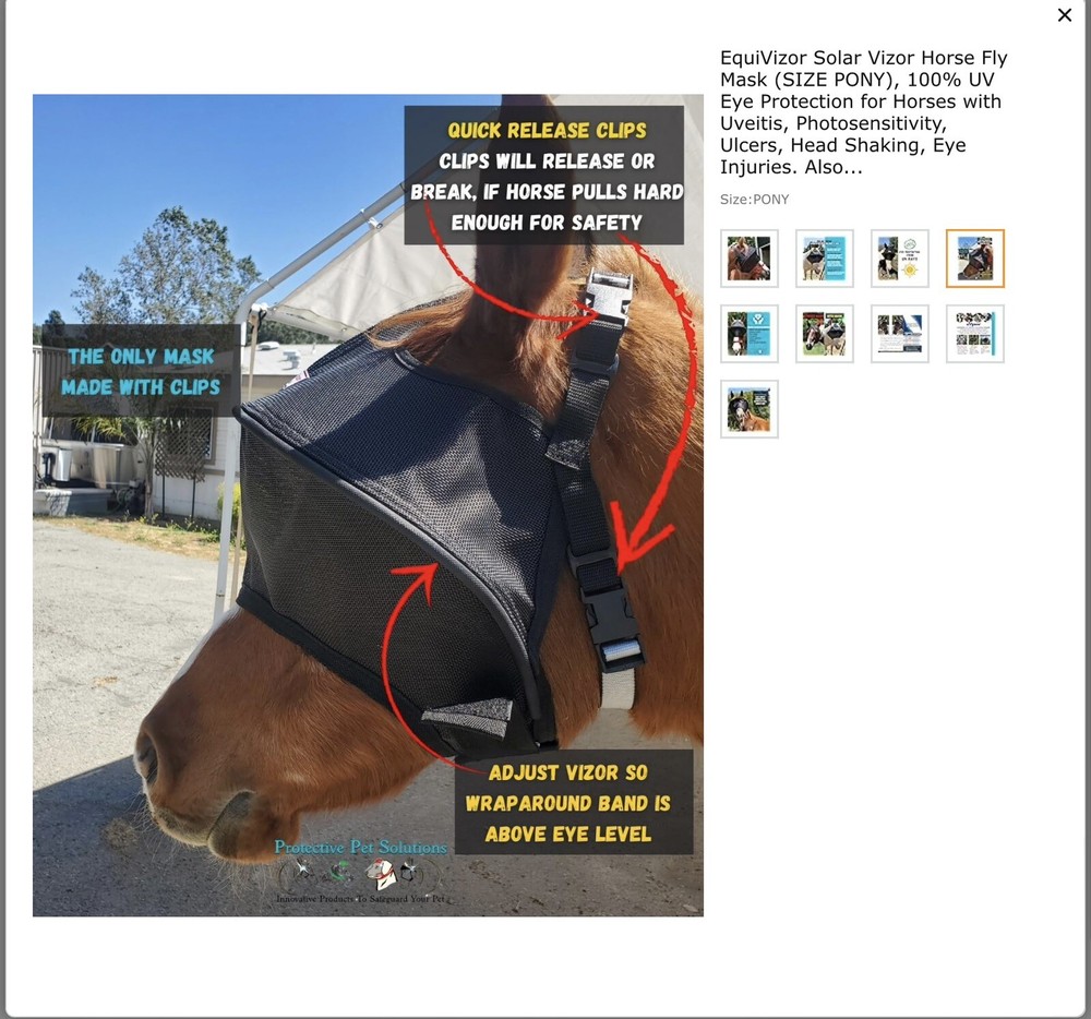 horse care grooming
