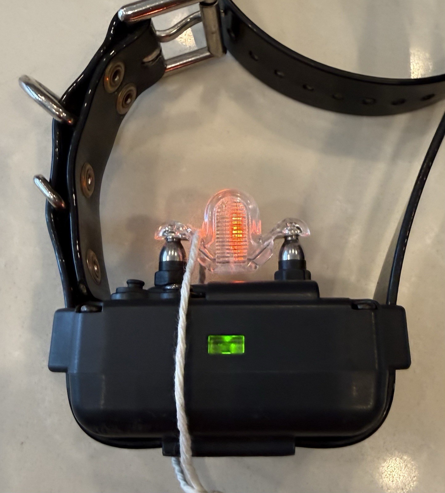 Dogtra 1900NCP Field Star, Remote Controlled Dog Training Collar, NEW BATTERIES