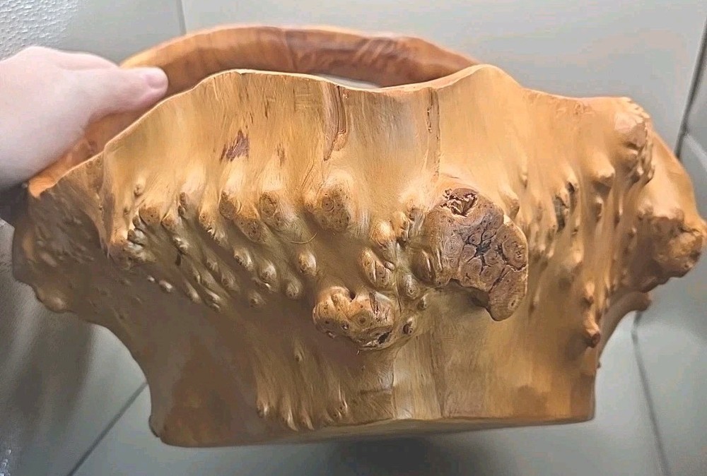 One Piece Solid Natural Burl Wood Handmade Bowl Basket Bumpy Wavy Rustic