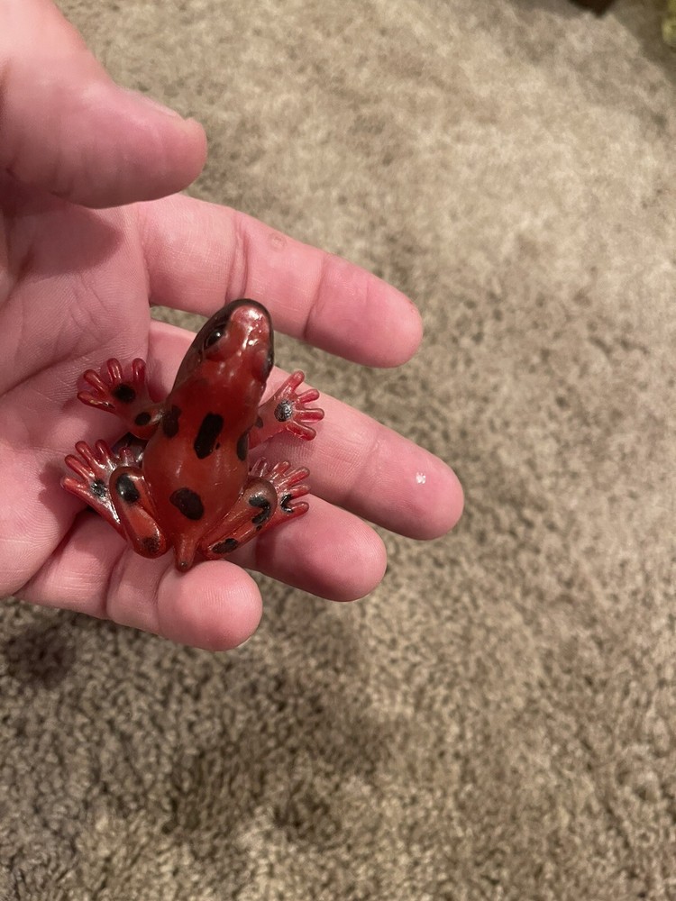 RED TREE FROG Animal Figure